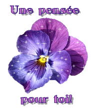 Gif animé je pense à toi violettes
